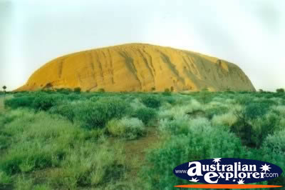 Ayers Rock From Distance . . . CLICK TO VIEW ALL ULURU POSTCARDS