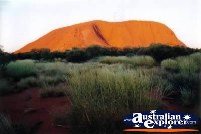 Ayers Rock at Sunset . . . CLICK TO VIEW ALL ULURU POSTCARDS