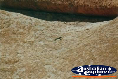 Ayers Rock Base from Above . . . VIEW ALL AYERS ROCK (BASE WALK) PHOTOGRAPHS