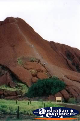 People Climbing Ayers Rock . . . CLICK TO VIEW ALL AYERS ROCK (SUMMIT) POSTCARDS