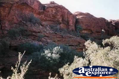 Kings Canyon Rocky Walls . . . CLICK TO VIEW ALL KINGS CANYON GORGE POSTCARDS