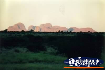 Olgas Landscape . . . CLICK TO VIEW ALL OLGAS POSTCARDS