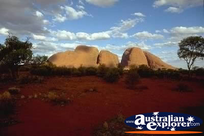 Landscape of Olgas . . . CLICK TO VIEW ALL OLGAS POSTCARDS
