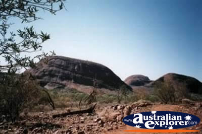 Olgas Landscape in the Northern Territory . . . CLICK TO VIEW ALL OLGAS POSTCARDS