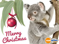 Christmas Koala . . . CLICK TO ENLARGE