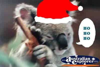 Koala at Christmas . . . CLICK TO VIEW ALL CHRISTMAS POSTCARDS