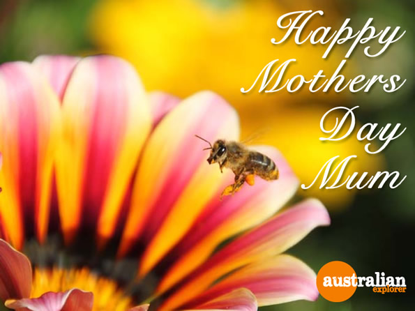 Happy Mothers Day . . . CLICK TO VIEW ALL MOTHERS DAY POSTCARDS