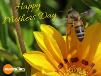 Mothers Day Flowers and Bee . . . CLICK TO ENLARGE
