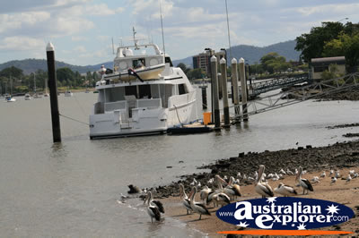 Docked Cruiser . . . VIEW ALL SEA PHOTOGRAPHS