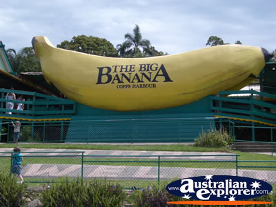 Big Banana in Coffs Harbour . . . VIEW ALL BIG ICONS PHOTOGRAPHS