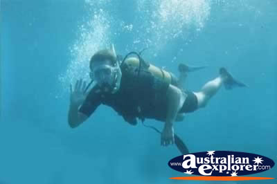 Dive . . . CLICK TO VIEW ALL SCUBA DIVING POSTCARDS