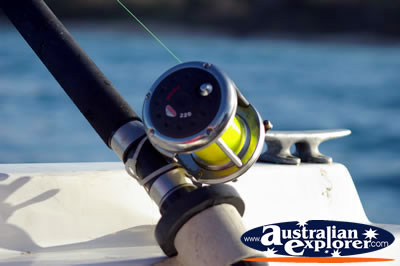 Fishing Reel . . . CLICK TO VIEW ALL FISHING POSTCARDS