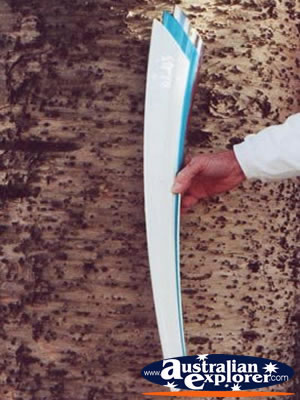 Olympic Flame Torch . . . VIEW ALL OLYMPIC TORCH PHOTOGRAPHS
