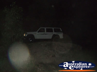 Night 4wdriving . . . CLICK TO VIEW ALL FOUR WHEEL DRIVING POSTCARDS