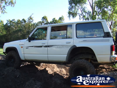 4x4 Maxed Out Wheel Travel . . . CLICK TO VIEW ALL FOUR WHEEL DRIVING POSTCARDS