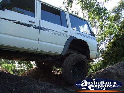 4WD Maxed Travel . . . CLICK TO VIEW ALL FOUR WHEEL DRIVING POSTCARDS