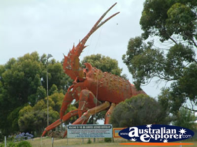 Big Lobster in Kingston SE . . . CLICK TO VIEW ALL BIG ICONS POSTCARDS
