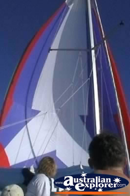 Sail on the Sail Boat . . . CLICK TO VIEW ALL SAILING POSTCARDS