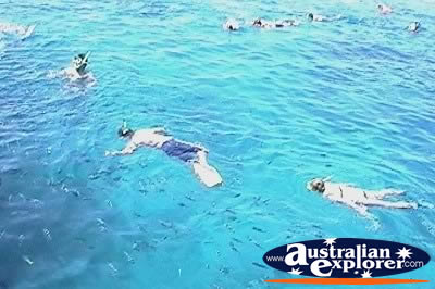 Snorkelling . . . CLICK TO VIEW ALL SNORKELLING POSTCARDS