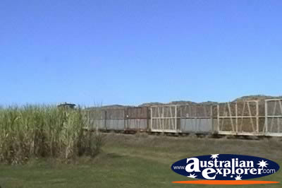 Sugar Cane Train . . . CLICK TO VIEW ALL VEHICLES POSTCARDS