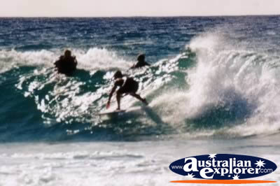 Surfing in the Waves . . . CLICK TO VIEW ALL SURFING POSTCARDS
