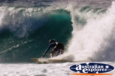 Surfing in a Barrel . . . CLICK TO VIEW ALL SURFING POSTCARDS