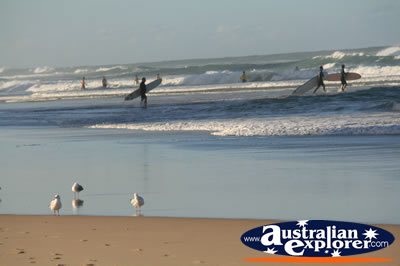 Surfers on the Beach . . . CLICK TO VIEW ALL SURFING POSTCARDS
