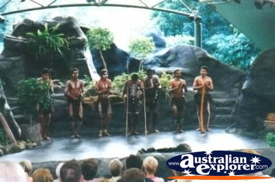 Tjapukai Cultural Centre Performance . . . VIEW ALL CULTURE PHOTOGRAPHS