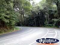 Port Douglas Landscape Road to Mossman . . . CLICK TO ENLARGE