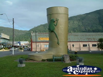 Tully Golden Gumboot . . . CLICK TO VIEW ALL TULLY POSTCARDS