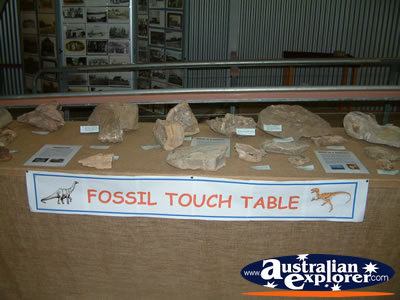 Hughenden Museum Fossil Touch Table . . . CLICK TO VIEW ALL HUGHENDEN POSTCARDS