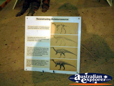 Hughenden Muttabburrasaurus Reconstruction . . . CLICK TO VIEW ALL HUGHENDEN POSTCARDS