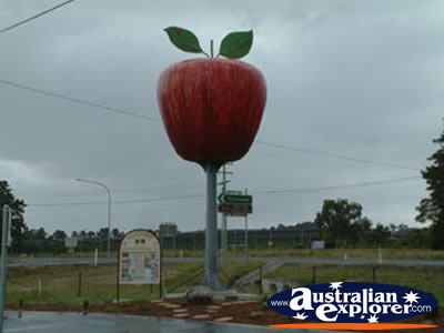 Applethorpe on the Way to Stanthorpe . . . CLICK TO VIEW ALL STANTHORPE POSTCARDS