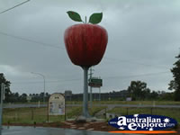 Applethorpe on the Way to Stanthorpe . . . CLICK TO ENLARGE