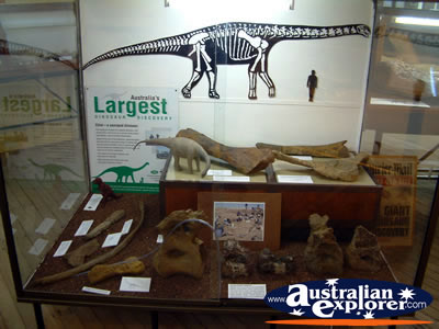 Prehistoric Dinosaur Display Winton Corfield & Fitzmaurice Centre . . . CLICK TO VIEW ALL WINTON POSTCARDS