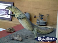 Winton Corfield & Fitzmaurice Centre Dinosaur Mini Display . . . CLICK TO ENLARGE