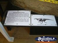 Winton Corfield & Fitzmaurice Centre Dinosaur Information . . . CLICK TO ENLARGE