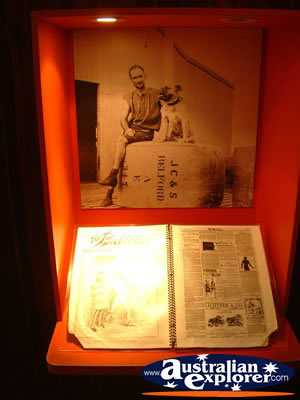 Winton Waltzing Matilda Centre Special Display . . . CLICK TO VIEW ALL WINTON POSTCARDS