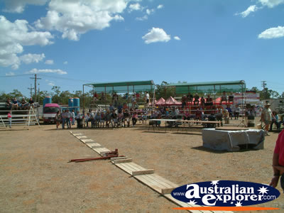 Chinchilla Crowds Arriving at Showgrounds . . . CLICK TO VIEW ALL CHINCHILLA POSTCARDS
