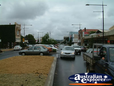 Busy Toowoomba Street . . . CLICK TO VIEW ALL TOOWOOMBA POSTCARDS