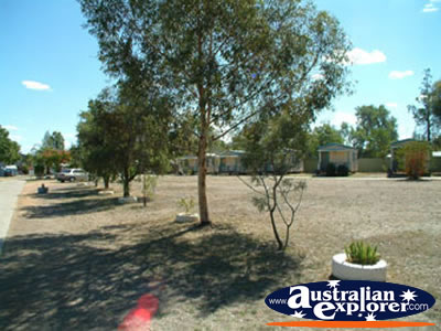 Chinchilla Mobile Park Caravan Park from street . . . CLICK TO VIEW ALL CHINCHILLA POSTCARDS