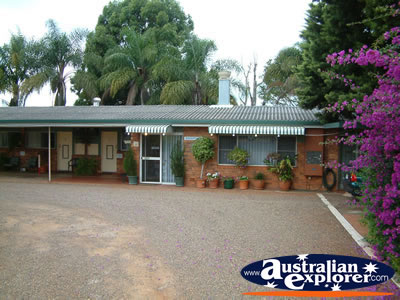 Childers Avocado Motel . . . CLICK TO VIEW ALL CHILDERS POSTCARDS