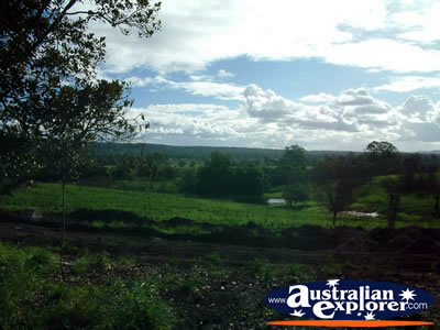 Gympie Gate Sunshine . . . CLICK TO VIEW ALL GYMPIE POSTCARDS