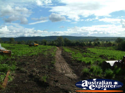 Gympie Gate Mud and Grass . . . CLICK TO VIEW ALL GYMPIE POSTCARDS