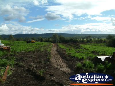 Gympie Gate Mud and Grass . . . VIEW ALL GYMPIE PHOTOGRAPHS