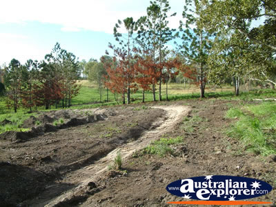 Gympie Gate Vehcile Tracks . . . VIEW ALL GYMPIE PHOTOGRAPHS