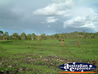 Picturesque Landscape of Gympie Gate . . . CLICK TO ENLARGE