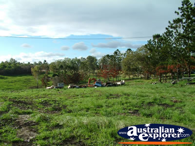 Gympie Gate Nature . . . VIEW ALL GYMPIE PHOTOGRAPHS