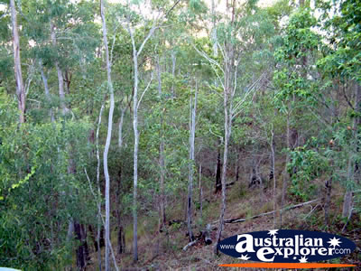 Gympie Gate Rugged Scenery . . . VIEW ALL GYMPIE PHOTOGRAPHS