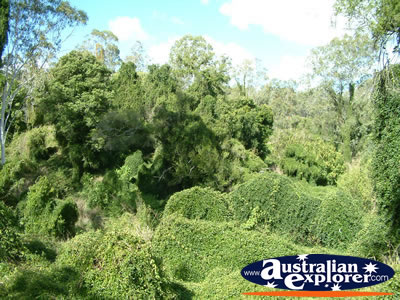Gympie Gate's Wonderful Scenery . . . VIEW ALL GYMPIE PHOTOGRAPHS